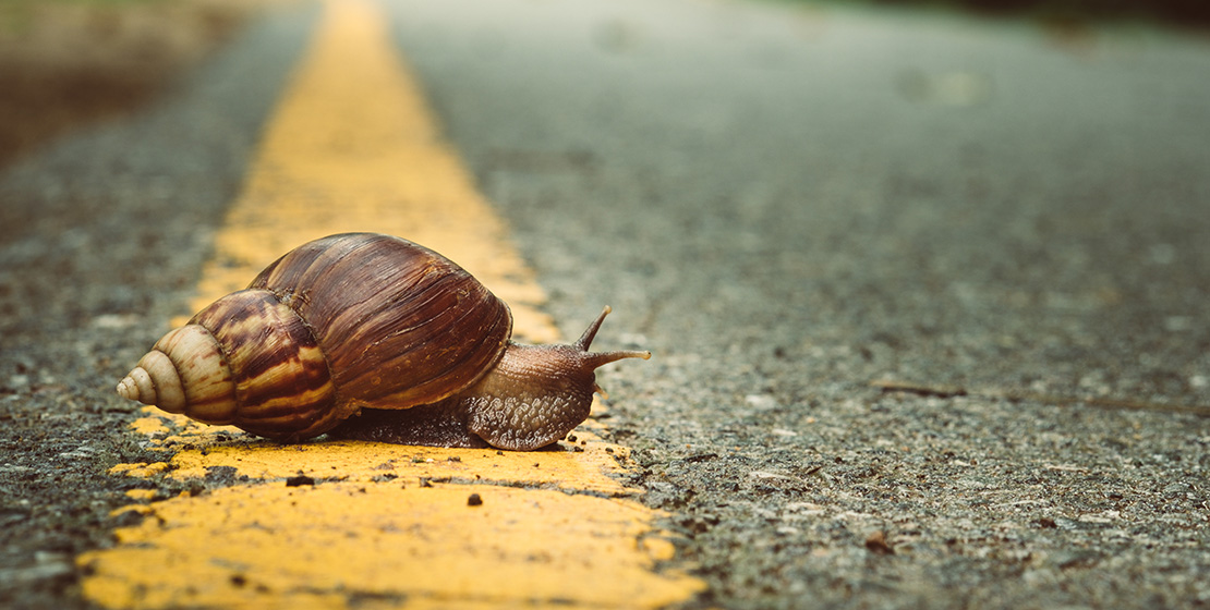 Slow content : une vision alternative de la production de contenus